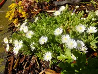DSCF9069.webp