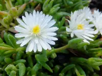 DSCF9078.webp