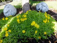 DSCF9081.webp