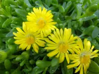 DSCF9084.webp