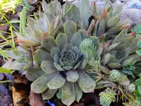 DSCF9104.webp