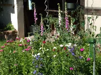 DSCF3851.webp