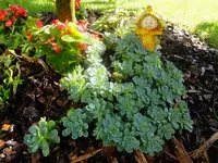 DSCF9108.webp