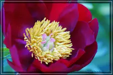 comp_DSC03674.webp