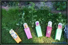 comp_DSC03671.webp