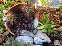 DSCF9142.webp