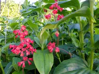 DSCF9166.webp