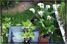comp_DSC03672.webp