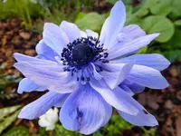DSCF9156.webp