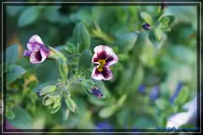 comp_DSC03676.webp