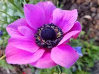 DSCF9157.webp