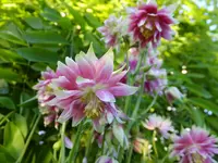 DSCF9163.webp