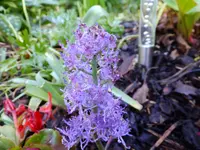 DSCF9136.webp