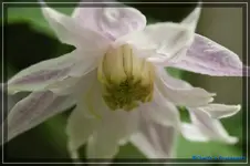04.webp