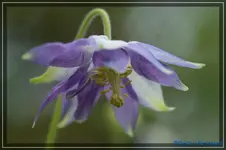 05.webp