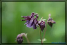 06.webp