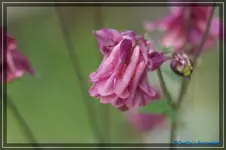 07.webp