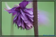 08.webp