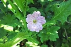 DSCF1232 (2).webp