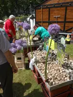 DSCN1227.webp