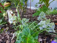 DSCF9290.webp