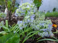 DSCF9289.webp