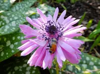 DSCF9296.webp