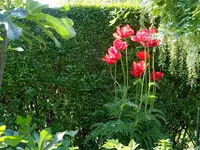 DSCF9308.webp
