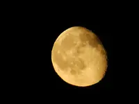 DSCF9241.webp