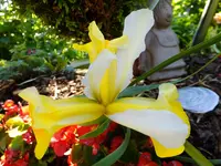 DSCF9294.webp