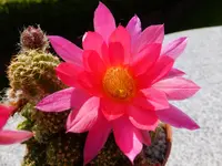 DSCF9280.webp