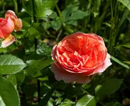 IMG_8873.webp