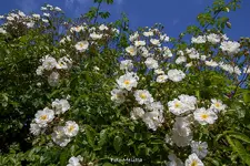 IMG_8883.webp