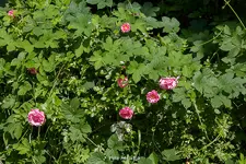 IMG_8890.webp