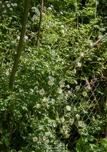 IMG_8892.webp
