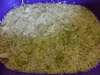 DSCF9068.webp