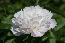 DSC01873.webp