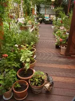 RIMG0132.webp