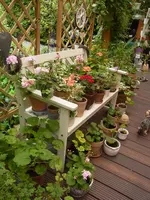 RIMG0134.webp