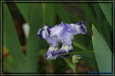 comp_DSC03687.webp