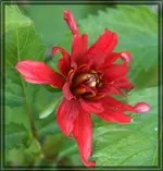comp_DSC09498.webp