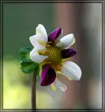 comp_DSC09497.webp