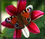 comp_DSC00351.webp