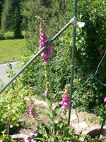 k-P1090411.webp