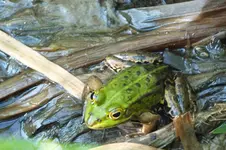 DSCF1298.webp