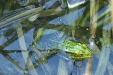 DSCF1299.webp