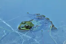 DSCF1303.webp