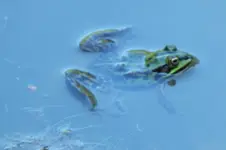DSCF1304.webp