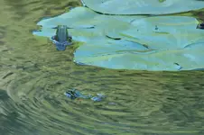 DSCF1307.webp