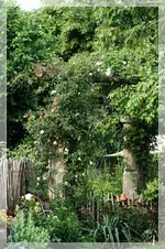 Blick auf Rosenbogen.webp
